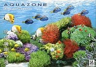 AQUAZONE Open Water 琉球珊瑚の海