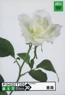 PHOTOBIT 20 薔薇