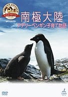 どうぶつ奇想天外!プレゼンツ南極大陸・アデリーペンギン子育て物語