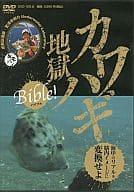 海中のリアルを脳内イメージに変換せよ カワハギ地獄 Bible!