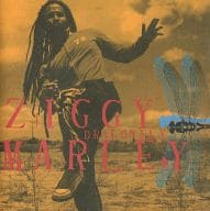 ZIGGY MARLEY/DRAGONFLY[輸入盤]