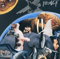 ハミングバード/アベニューコレクション ハミングバード