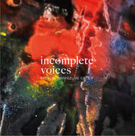 橋爪亮督グループ / incomplete voices