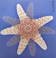 スピッツ / スピッツ[重量盤]