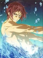 Free! -Eternal Summer- 5 [初回版]