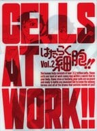 はたらく細胞!! 2 [完全生産限定版]