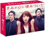きみが心に棲みついた Blu-ray BOX
