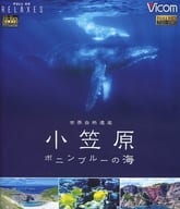 世界自然遺産 小笠原-ボニンブルーの海-