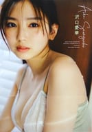 B4両面ポスター(三つ折) 沢口愛華 ヤングチャンピオン 2024年3月26日号 No.7 綴じ込み付録