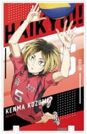 孤爪研磨 「アートパネルコレクション 劇場版ハイキュー!! ゴミ捨て場の決戦 Vol.2 音駒高校BOX」