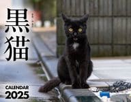 黒猫カレンダー 2025年度版