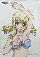 C.ルーシィ マルチクロス 「FAIRY TAIL -フェアリーテイル-」 これくしょんパークオンラインくじ C-3賞