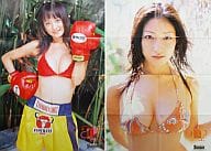 ポスター(16頁折) 佐藤寛子/小松彩夏 超ドデカポスター 週刊ヤングサンデー2007年3・4合併号付録