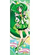 キュアマーチ ジグソーパズル 352ピース 「スマイルプリキュア!」 [352-49]