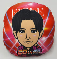 岩田剛典 サークルクッション 20th ANNIVERSARY ver. EXILE20周年オンラインブースグッズ