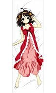 涼宮ハルヒ 抱き枕カバー 「涼宮ハルヒの憂鬱」 アニメディア2007年4月号 応募者全員サービス
