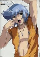 relax＆tv-03 アウル・ニーダ 「機動戦士ガンダムSEED DESTINY フォトコレクション Cell DX PHASE relax＆tv」
