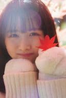 上村ひなの(日向坂46)/紅葉 ポストカード 「上村ひなの写真集 そのままで」 封入特典