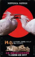 トキ(計2羽)「佐渡・新穂村歴史民族資料館/トキのむら」