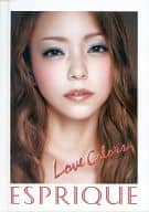 安室奈美恵 Beauty Book＆Diary 2012 ESPRIWUEノベルティグッズ