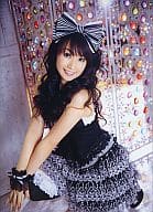 水樹奈々 A4クリアファイル 「オフィシャルファンクラブ S.C. NANA NET」 会員限定グッズ