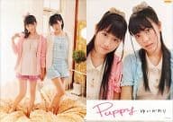 ゆいかおり A4クリアファイル ｢CD Puppy｣ とらのあな購入特典
