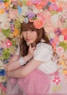 内田彩 A4クリアファイル 「CD Blooming!」 とらのあな特典