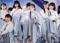 乃木坂46 A5クリアファイル 「DVD/Blu-ray 乃木坂46『真夏の全国ツアー2017 FINAL!IN TOKYO DOME』」 コーチャンフォーグループ購入特典