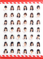 [単品] NGT48 A4クリアファイル 「NGT48 2019年 15000円福袋」 同梱品