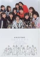 アンジュルム 輪廻転生 FINAL A4クリアファイル2枚セット 「ハロプロ プレミアム アンジュルム コンサートツアー 2019春 ファイナル 和田彩花卒業スペシャル 輪廻転生 ～あるとき生まれた愛の提唱～」