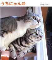 <<畜産業>> うちにゃん＠