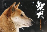 <<動物・ペット>> 柴犬 よみがえる縄文犬 / 福田豊文