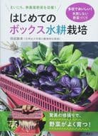 <<園芸>> はじめてのボックス水耕栽培 植えるだけで、毎朝無農薬栽培レタスを収穫!