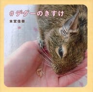 <<動物・ペット>> #デグーのきすけ / 本宮佳奈