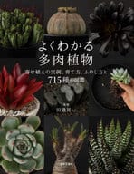 <<園芸>> よくわかる多肉植物： 寄せ植えの実例とくわしい手順、育て方・ふやし方と715種の図鑑