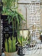 <<園芸>> 観葉植物図鑑 いま人気のインテリアグリーン