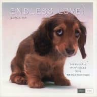 <<写真集>> エンドレス・ラブ! CD付き