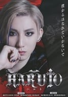 <<演劇>> ミュージカル HARUTO ハルト フライヤー