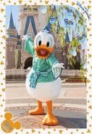 ドナルドダック/全身・衣装緑白・右手上げ・体斜め左向き・「TOKYO DISNEY RESORT 2014」/公式生写真