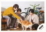 嵐/集合(3人) /横型・全身・座り・衣装マスタード赤白ベージュ・櫻井犬撫でる/シングル「君のうた」MV＆ジャケ写撮影オフショット/公式生写真