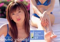 07 ： 柳明日香/SUPER VISUAL CARD COLLECTION Vol.2 柳明日香 Lady Cocktails