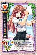 CH-0993[R]：ケータイ刑事 尾瀬道 櫻子