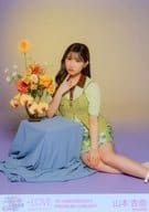 イコールラブ(=LOVE)/山本杏奈/全身/「=LOVE 7th ANNIVERSARY PREMIUM CONCERT」生写真セット(「=LOVE 7th ANNIVERSARY PHOTO BOOK」)