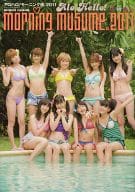 <<ハロプロ>> DVD付)アロハロ! モーニング娘。写真集 2011