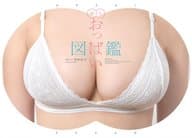 原寸大おっぱい図鑑