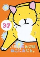 <<オリジナル>> いぬもあるけばねこにあたる・37 / 塚本ひじく / えぢそんず