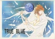 <<ガンダムＷ>> TRUE BLUE / 青木洸 / 岬夏海 （トロワ×ヒイロ） / アイアンブーツ