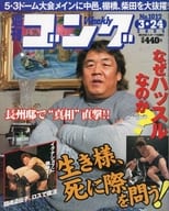 週刊ゴング 2004年3月24日号増刊