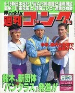 付録付)週刊ゴング 1993年6月3日号