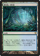 220/249[R]：【ZEN】霧深い雨林/Misty Rainforest